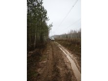 IMG_8687.JPG