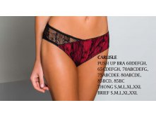 CARLISLE brief