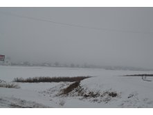 DSC_0871.JPG
