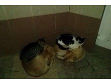 Тёплые полы