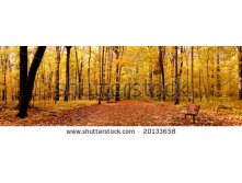 stock-photo-autumn-panorama-20133658.jpg