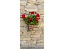 stock-photo-window-in-an-old-house-decorated-with-flower-pots-and-flowers-205028518.jpg