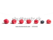 stock-photo-blueberry-in-a-line-of-raspberries-1721453.jpg