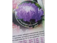 астра дюшес бело-голубая 21,00 10 штук.jpg