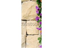 stock-photo-the-new-design-of-modern-wall-with-violet-flower-background-161898488.jpg