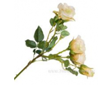 image383.png
