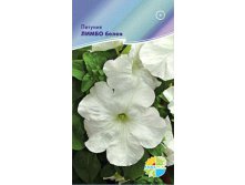 Петуния ЛИМБО белая_12,80+%
