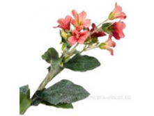 image320.png