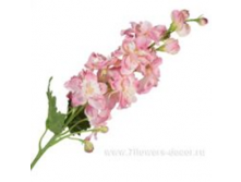 image219.png