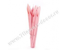 image259 - копия - копия - копия.png
