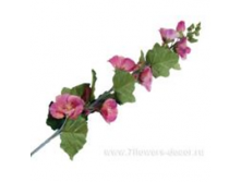 image307.png