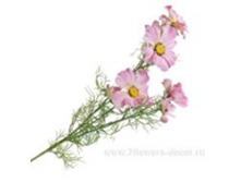 image260.png