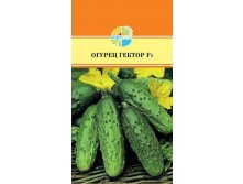 ОГУРЕЦ ГЕКТОР F1_20,50+%