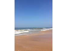 IMG_0560.JPG