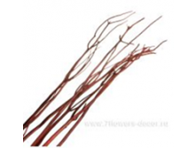 image124 - копия - копия - копия.png
