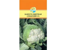КАПУСТА ЦВЕТНАЯ СТРАРГЕЙТ F1_38,00+%