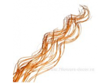 image174 - копия - копия - копия.png
