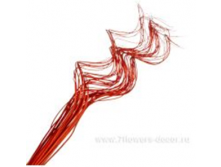 image185 - копия - копия - копия.png