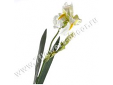 image237.png