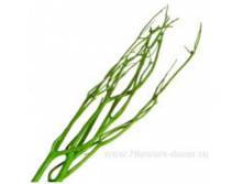 image125 - копия - копия - копия.png