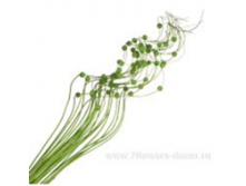image240 - копия - копия - копия.png