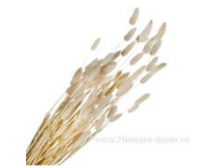 image192 - копия - копия - копия.png