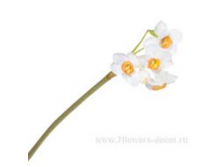 image323.png