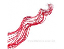 image178 - копия - копия - копия.png