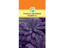 КАПУСТА ЛИСТОВАЯ РЕДБОР F1_25,00+%