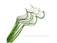 image184 - копия - копия - копия.png