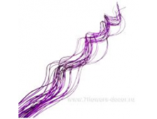 image172 - копия - копия - копия.png