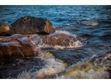 IMG_3955.jpg