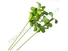 image162 - копия - копия - копия.png