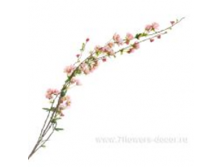 image001.png