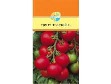 ТОМАТ ТОЛСТОЙ F1_20,60+%