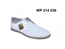 1550. WP 214 036
