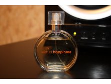 Avon Wish Of Happiness.JPG