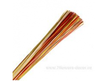 image204 - копия - копия - копия.png
