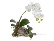 image426.png