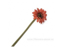 image161.png