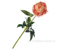 image356.png