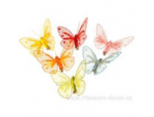 image604 - копия.png