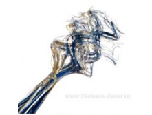 image136 - копия - копия - копия.png