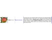 яблоня коричное полосатое.jpg