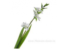 image174.png