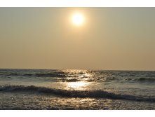 DSC_00305.JPG