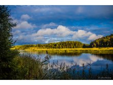 IMG_3491.jpg