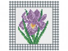 034-ST Фиолетовый ирис.jpg