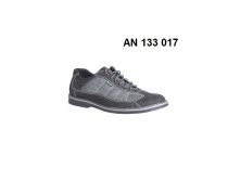 1550. AN 133 017