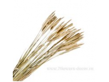 image351 - копия - копия.png
